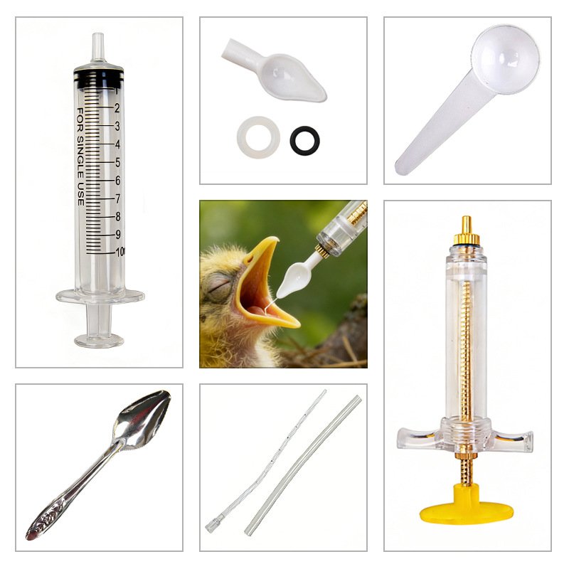 Precise Baby Bird Feeder Profe - Baby Food Youtube 评论和价格